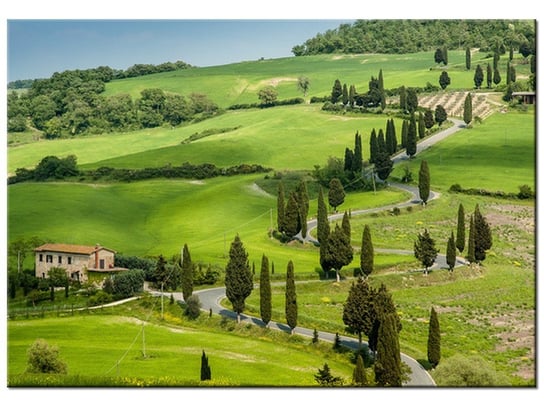 Obraz Kręta droga w Toskanii, 100x70 cm Oobrazy