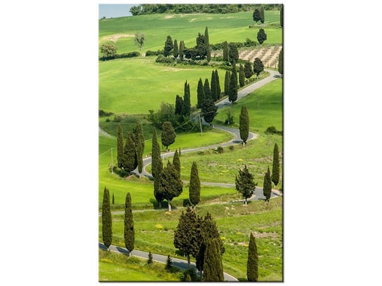 Obraz Kręta droga w Toskanii, 20x30 cm Oobrazy