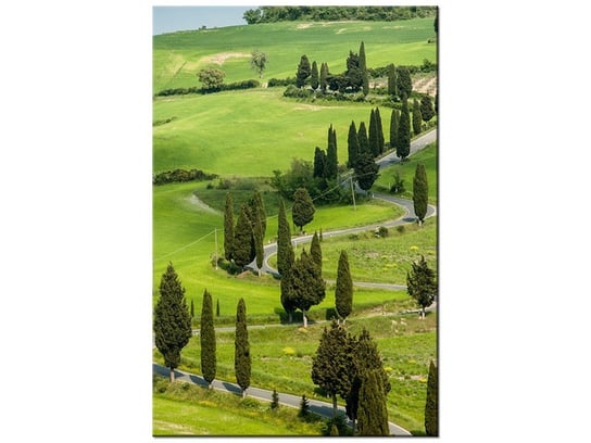 Obraz Kręta droga w Toskanii, 20x30 cm Oobrazy