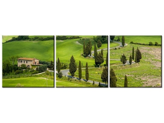 Obraz Kręta droga w Toskanii, 3 elementy, 120x40 cm Oobrazy