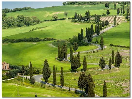 Obraz Kręta droga w Toskanii, 40x30 cm Oobrazy
