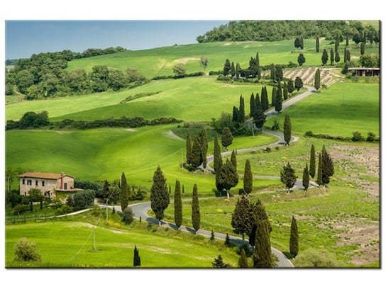 Obraz, Kręta droga w Toskanii, 90x60 cm Oobrazy