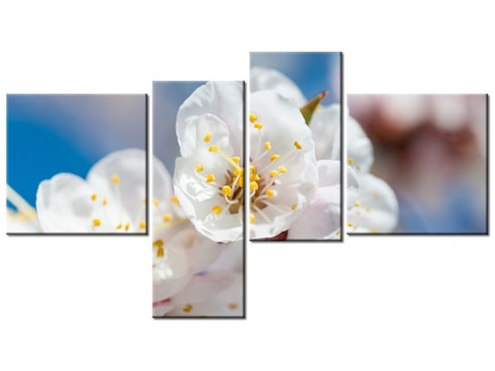 Obraz Kwiat jabłoni, 4 elementy, 100x55 cm Oobrazy
