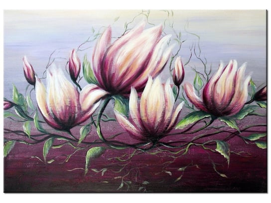 Obraz Kwiat magnolii, 100x70 cm Oobrazy