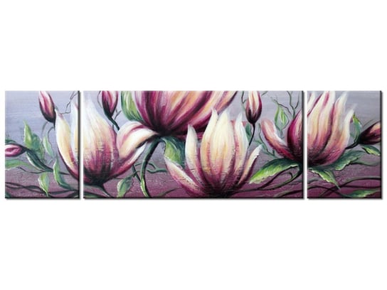 Obraz Kwiat magnolii, 3 elementy, 170x50 cm Oobrazy