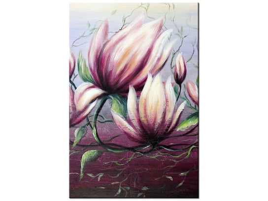 Obraz, Kwiat magnolii, 40x60 cm Oobrazy