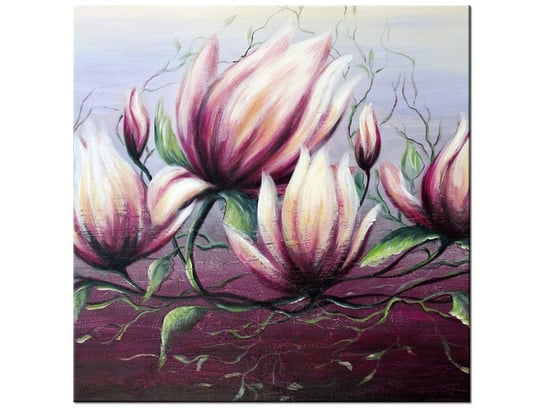 Obraz Kwiat magnolii, 50x50 cm Oobrazy