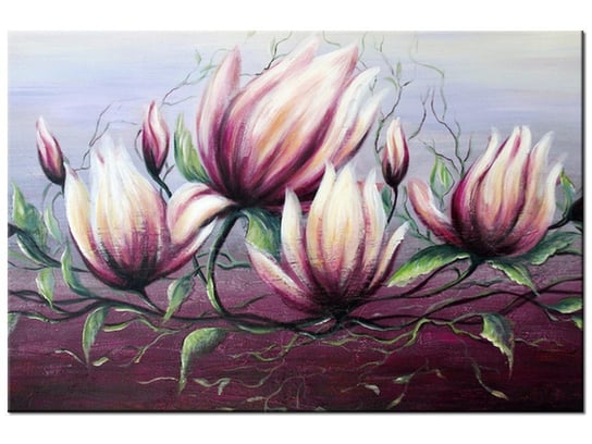 Obraz Kwiat magnolii, 60x40 cm Oobrazy