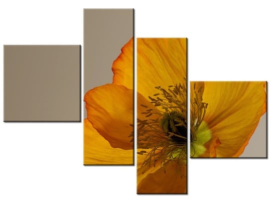 Obraz Kwiat maku - Gemma Stiles, 4 elementy, 100x70 cm Oobrazy