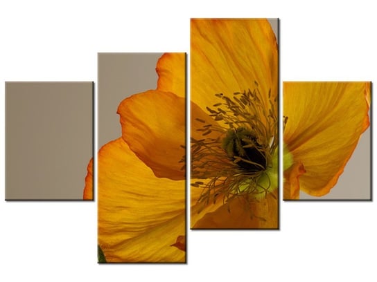 Obraz Kwiat maku - Gemma Stiles, 4 elementy, 120x80 cm Oobrazy