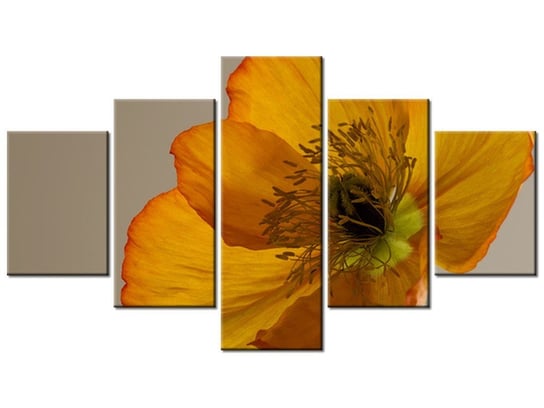Obraz Kwiat maku-Gemma Stiles, 5 elementów, 125x70 cm Oobrazy