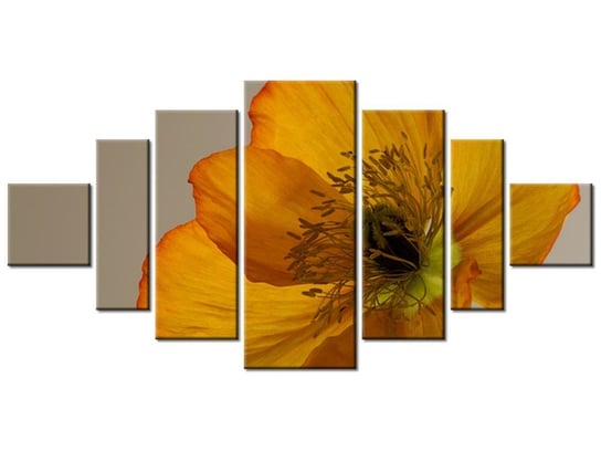 Obraz Kwiat maku - Gemma Stiles, 7 elementów, 200x100 cm Oobrazy
