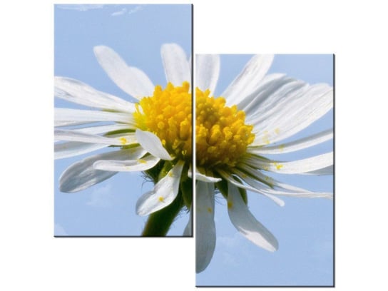 Obraz Kwiatek na tle nieba - Tschiae, 2 elementy, 60x60 cm Oobrazy