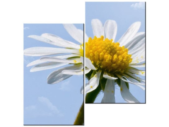 Obraz Kwiatek na tle nieba - Tschiae, 2 elementy, 60x60 cm Oobrazy