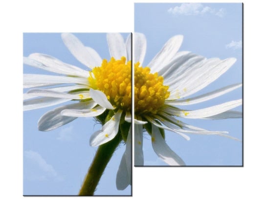 Obraz Kwiatek na tle nieba - Tschiae, 2 elementy, 80x70 cm Oobrazy