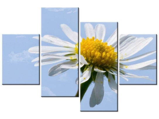 Obraz Kwiatek na tle nieba - Tschiae, 4 elementy, 120x80 cm Oobrazy