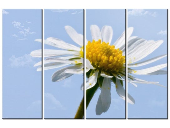 Obraz Kwiatek na tle nieba - Tschiae, 4 elementy, 120x80 cm Oobrazy