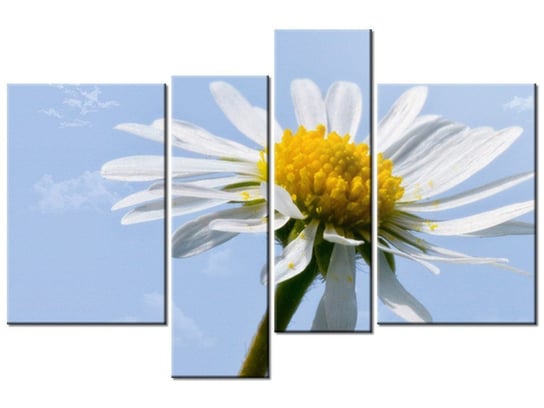 Obraz Kwiatek na tle nieba - Tschiae, 4 elementy, 130x85 cm Oobrazy