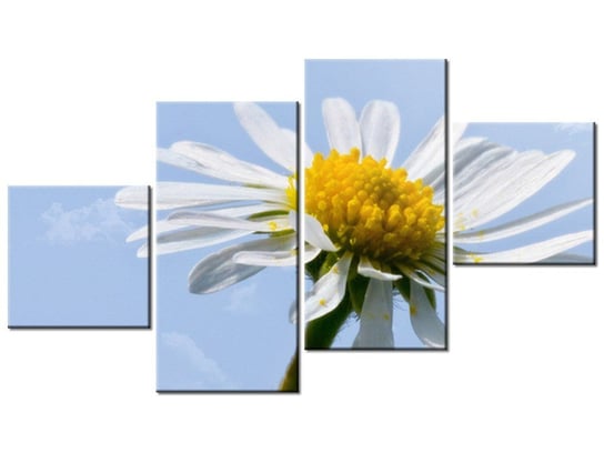 Obraz Kwiatek na tle nieba - Tschiae, 4 elementy, 160x90 cm Oobrazy