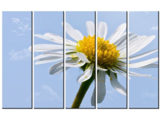Obraz Kwiatek na tle nieba - Tschiae, 5 elementów, 100x63 cm Oobrazy