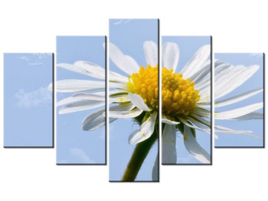 Obraz Kwiatek na tle nieba - Tschiae, 5 elementów, 100x63 cm Oobrazy
