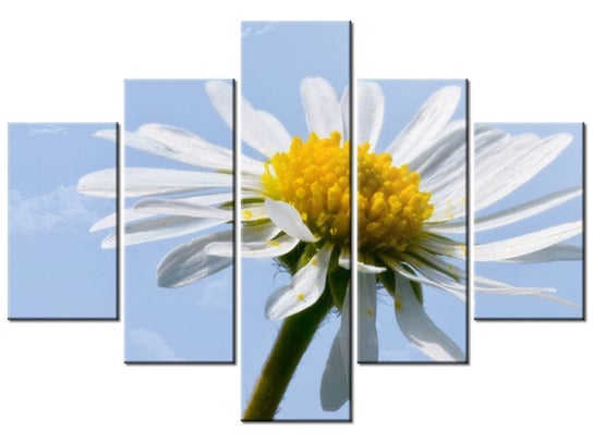 Obraz Kwiatek na tle nieba - Tschiae, 5 elementów, 100x70 cm Oobrazy