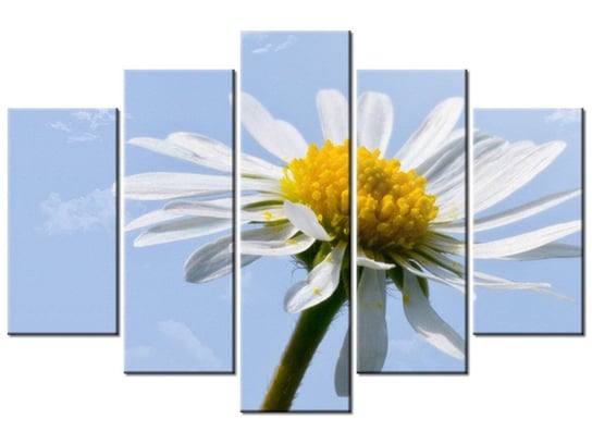 Obraz Kwiatek na tle nieba - Tschiae, 5 elementów, 150x100 cm Oobrazy