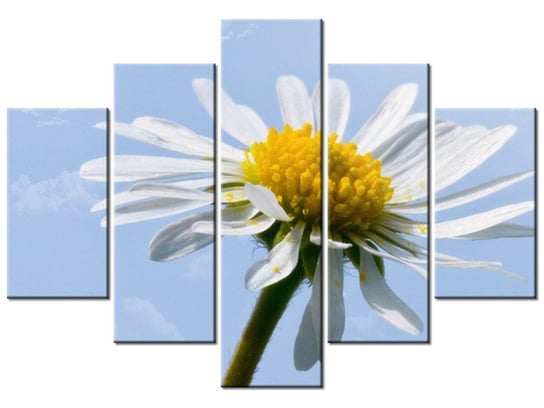 Obraz Kwiatek na tle nieba - Tschiae, 5 elementów, 150x105 cm Oobrazy