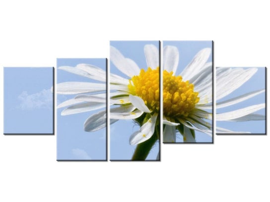 Obraz Kwiatek na tle nieba - Tschiae, 5 elementów, 150x70 cm Oobrazy