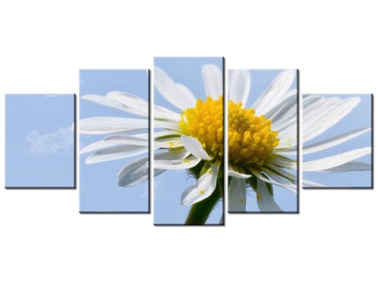 Obraz Kwiatek na tle nieba - Tschiae, 5 elementów, 150x70 cm Oobrazy