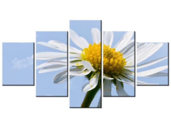 Obraz Kwiatek na tle nieba - Tschiae, 5 elementów, 150x80 cm Oobrazy