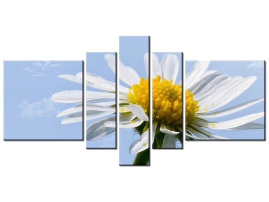 Obraz Kwiatek na tle nieba - Tschiae, 5 elementów, 160x80 cm Oobrazy