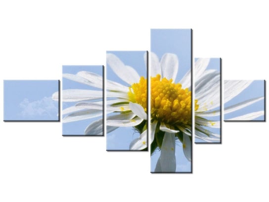 Obraz Kwiatek na tle nieba - Tschiae, 6 elementów, 180x100 cm Oobrazy