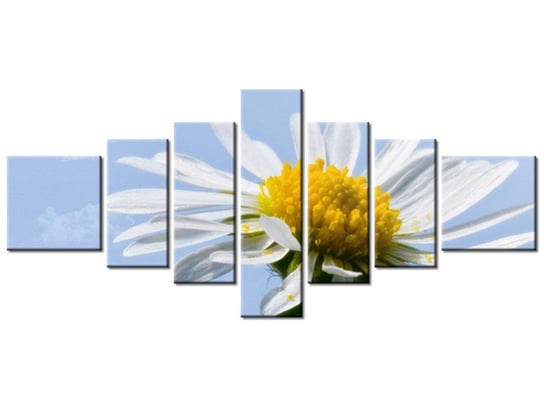 Obraz Kwiatek na tle nieba - Tschiae, 7 elementów, 160x70 cm Oobrazy