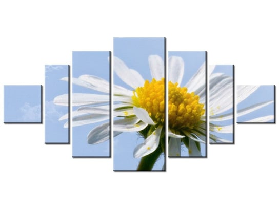 Obraz Kwiatek na tle nieba - Tschiae, 7 elementów, 200x100 cm Oobrazy