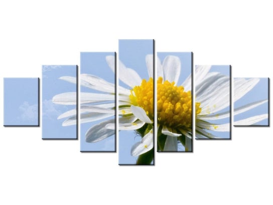 Obraz Kwiatek na tle nieba - Tschiae, 7 elementów, 210x100 cm Oobrazy
