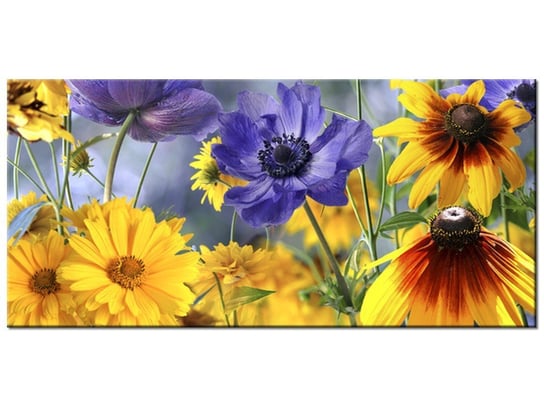 Obraz Kwiatki na łące, 115x55 cm Oobrazy