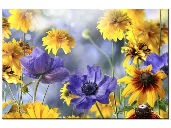 Obraz Kwiatki na łące, 120x80 cm Oobrazy