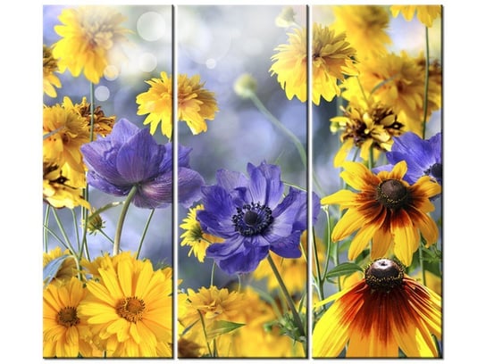 Obraz Kwiatki na łące, 3 elementy, 90x80 cm Oobrazy