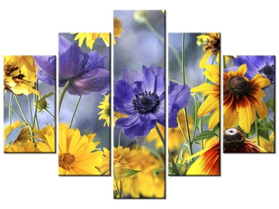 Obraz, Kwiatki na łące, 5 elementów, 150x105 cm Oobrazy