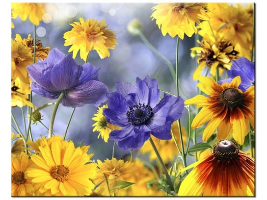 Obraz Kwiatki na łące, 50x40 cm Oobrazy