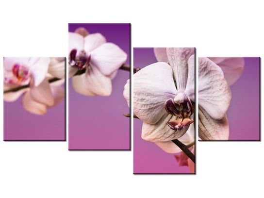 Obraz Kwiaty, 4 elementy, 120x70 cm Oobrazy