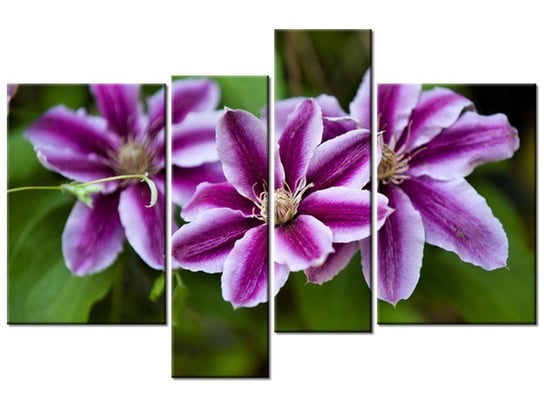 Obraz Kwiaty azalii, 4 elementy, 130x85 cm Oobrazy