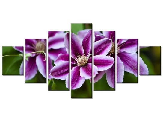 Obraz Kwiaty azalii, 7 elementów, 210x100 cm Oobrazy