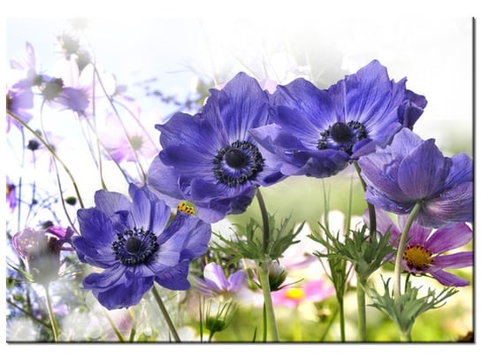 Obraz, Kwiaty w ogródku, 100x70 cm Oobrazy