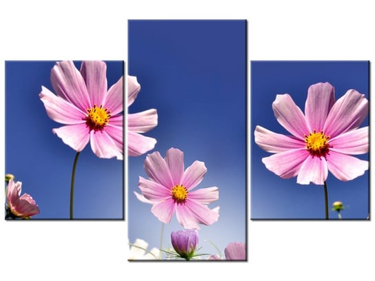 Obraz Kwiecista łąka, 3 elementy, 90x60 cm Oobrazy