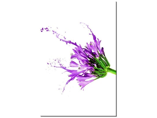 Obraz Kwiecisty kolor, 20x30 cm Oobrazy