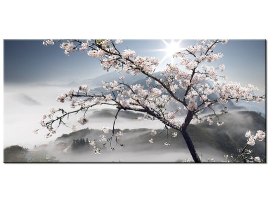 Obraz, Kwitnąca wiśnia, 115x55 cm Oobrazy