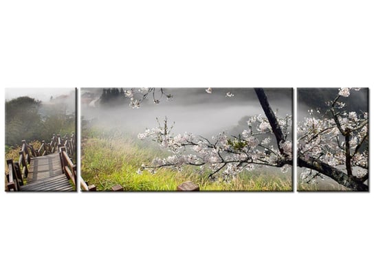 Obraz, Kwitnąca wiśnia, 3 elementy, 170x50 cm Oobrazy