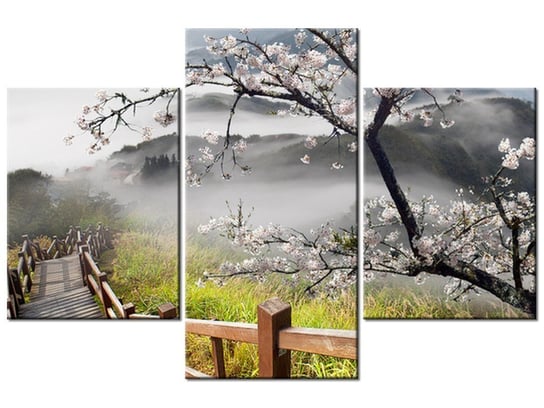 Obraz, Kwitnąca wiśnia, 3 elementy, 90x60 cm Oobrazy